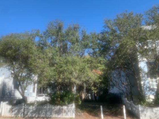 Panama City Beach, Florida 32413, ,Land,For Sale,Parkshore,840341