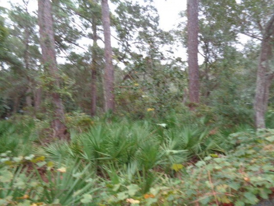 Santa Rosa Beach, Florida 32459, ,Land,For Sale,Bay Circle,784843