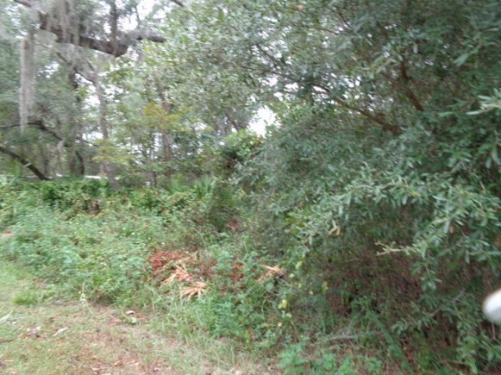Santa Rosa Beach, Florida 32459, ,Land,For Sale,Bay Circle,784843