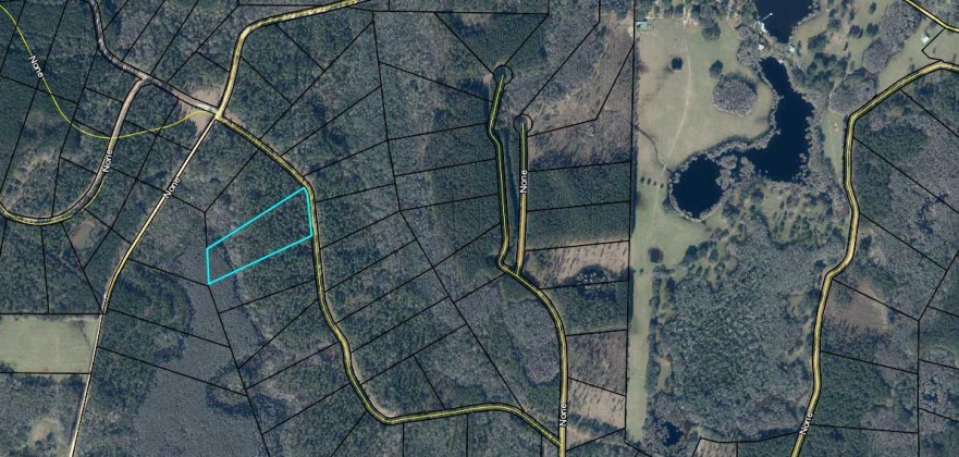 Westville, Florida 32464, ,Land,For Sale,Reedy Creek,841455