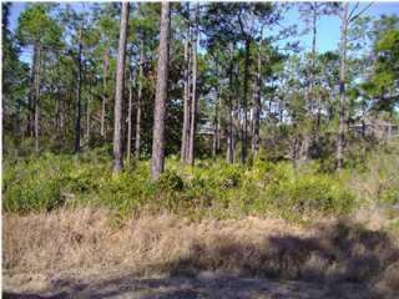 Santa Rosa Beach, Florida 32459, ,Land,For Sale,Dolphin Ct,770156