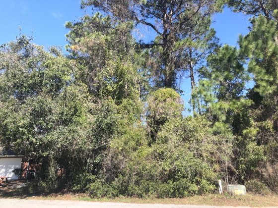 Santa Rosa Beach, Florida 32459, ,Land,For Sale,Rivercrest,841870