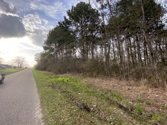 Opp, Alabama 36467, ,Land,For Sale,Duval,842334