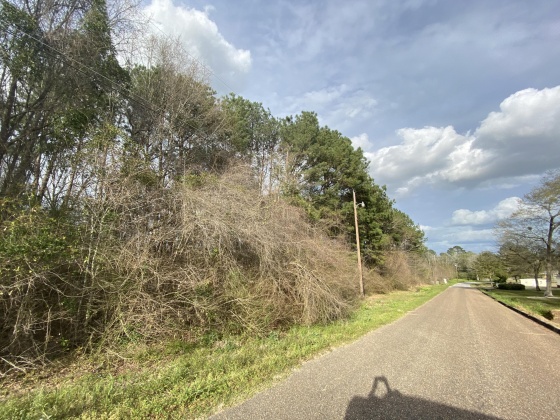 Opp, Alabama 36467, ,Land,For Sale,Duval,842334