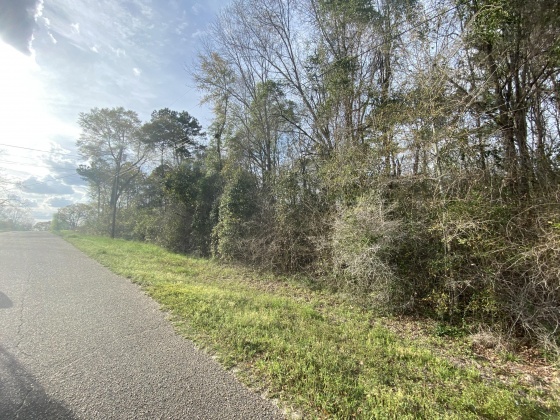 Opp, Alabama 36467, ,Land,For Sale,Duval,842334