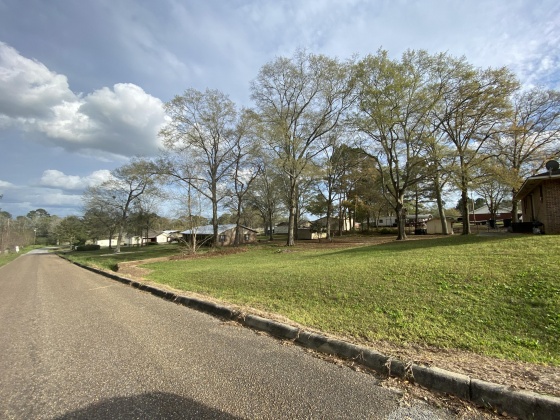 Opp, Alabama 36467, ,Land,For Sale,Duval,842334