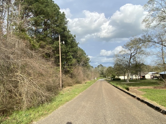 Opp, Alabama 36467, ,Land,For Sale,Duval,842334