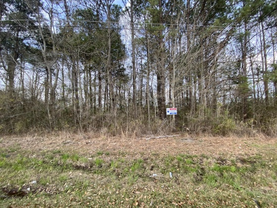 Opp, Alabama 36467, ,Land,For Sale,Duval,842334