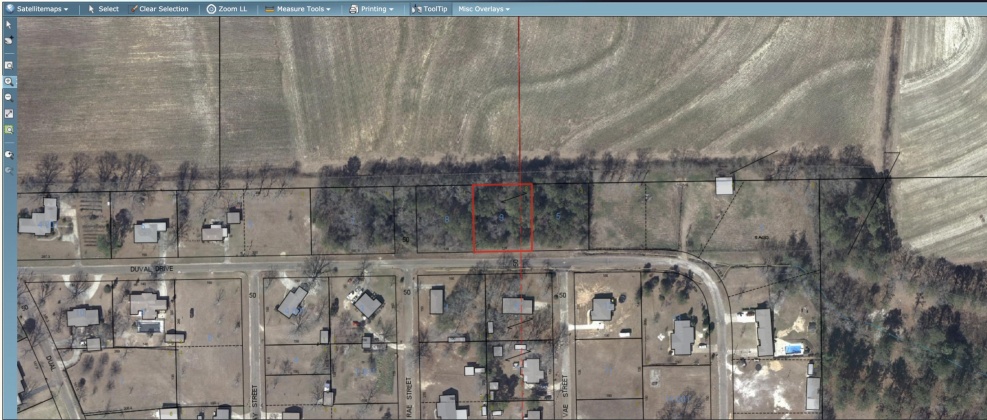 Opp, Alabama 36467, ,Land,For Sale,Duval,842334