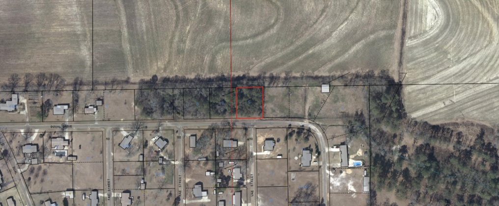 Opp, Alabama 36467, ,Land,For Sale,Duval,842335