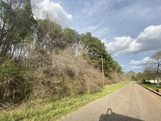 Opp, Alabama 36467, ,Land,For Sale,Duval,842335