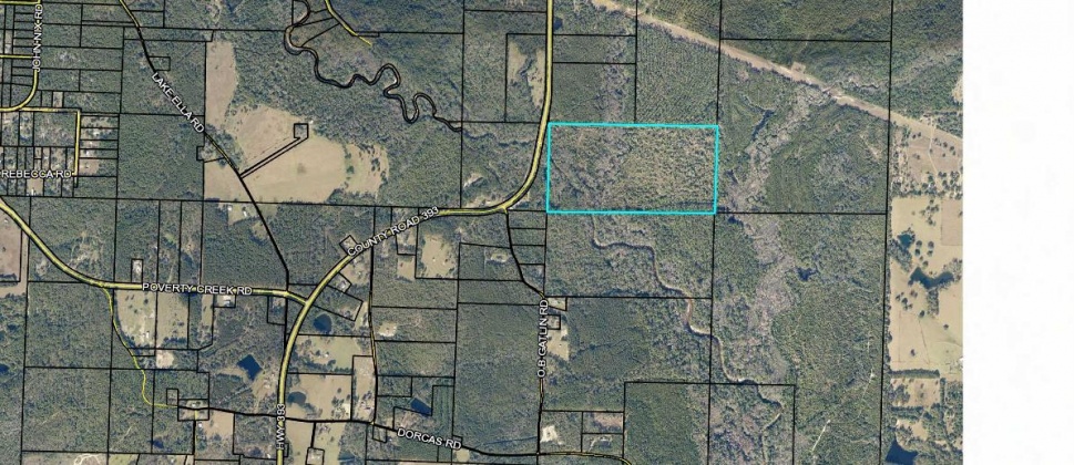 Crestview, Florida 32539, ,Land,For Sale,Hwy 393,842893