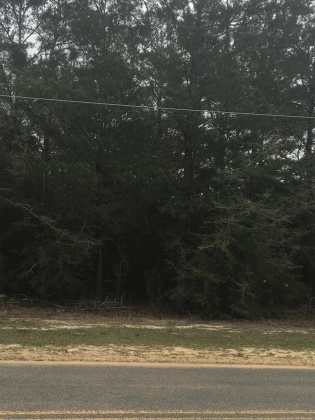 Defuniak Springs, Florida 32434, ,Land,For Sale,VALLEY VIEW BLVD,843100