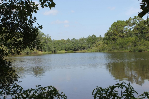 Crestview, Florida 32539, ,Land,For Sale,Valley,843883