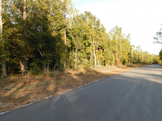 Crestview, Florida 32536, ,Land,For Sale,Bear Head,844396