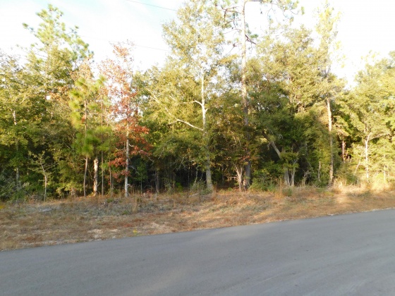 Crestview, Florida 32536, ,Land,For Sale,Bear Head,844396