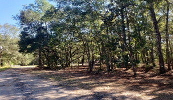 Freeport, Florida 32439, ,Land,For Sale,Wilson,822283