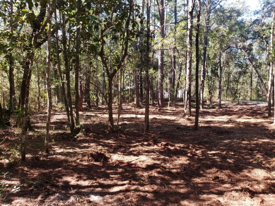 Freeport, Florida 32439, ,Land,For Sale,Wilson,822283