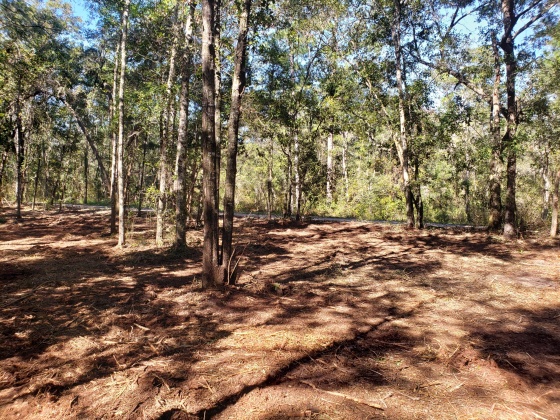 Freeport, Florida 32439, ,Land,For Sale,Wilson,822283