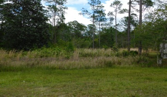 Santa Rosa Beach, Florida 32459, ,Land,For Sale,Central 8th,821063