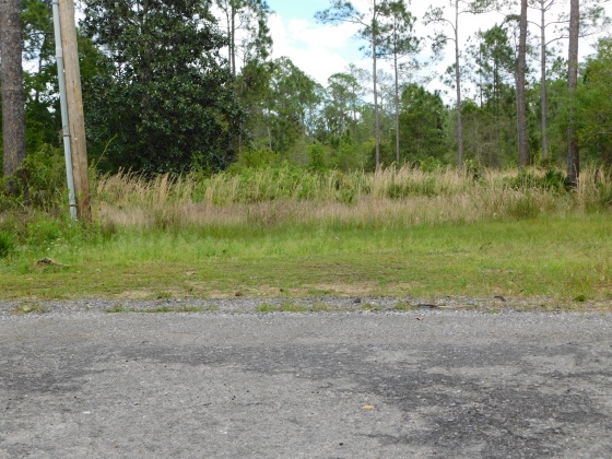 Santa Rosa Beach, Florida 32459, ,Land,For Sale,Central 8th,821063