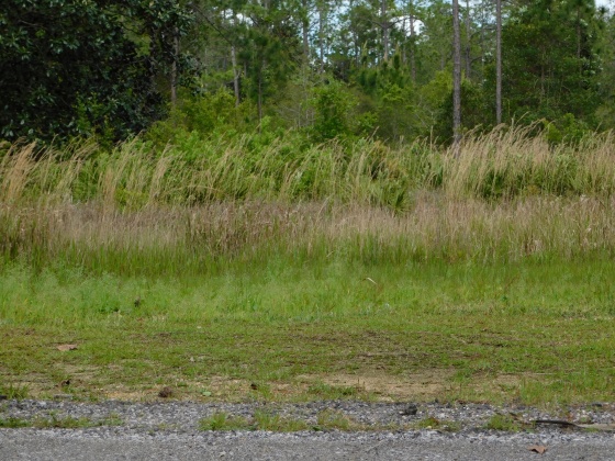 Santa Rosa Beach, Florida 32459, ,Land,For Sale,Central 8th,821063