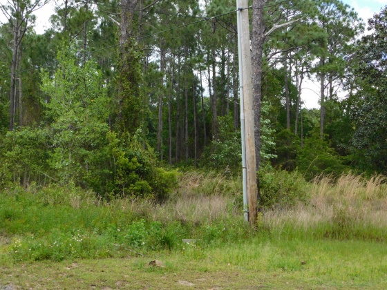 Santa Rosa Beach, Florida 32459, ,Land,For Sale,Central 8th,821063