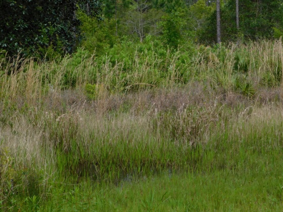 Santa Rosa Beach, Florida 32459, ,Land,For Sale,Central 8th,821063