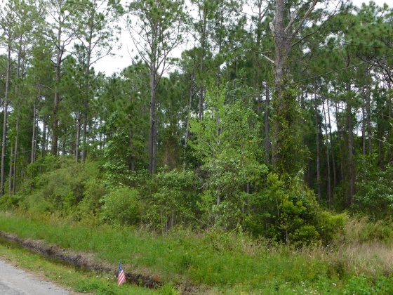 Santa Rosa Beach, Florida 32459, ,Land,For Sale,Central 8Th,821064