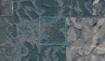 Bonifay, Florida 32425, ,Land,For Sale,Clemmons,845463