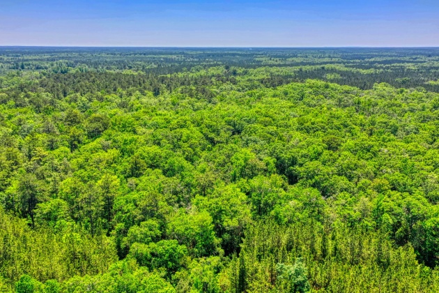 Bonifay, Florida 32425, ,Land,For Sale,Clemmons,845463