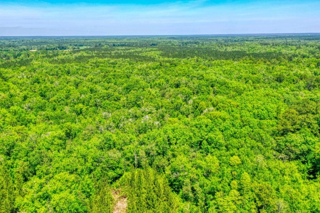 Bonifay, Florida 32425, ,Land,For Sale,Clemmons,845463