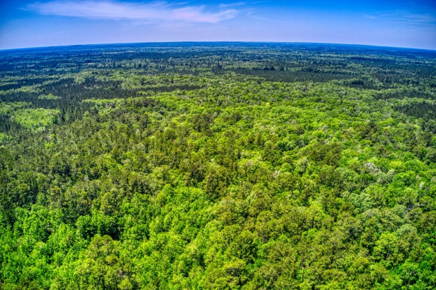 Bonifay, Florida 32425, ,Land,For Sale,Clemmons,845463