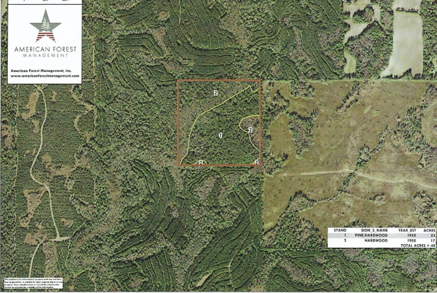 Bonifay, Florida 32425, ,Land,For Sale,Clemmons,845463