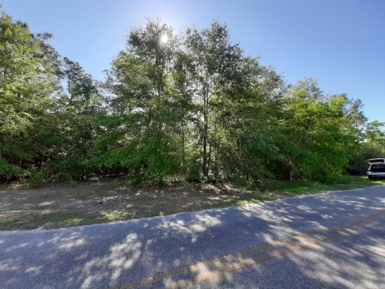 Defuniak Springs, Florida 32433, ,Land,For Sale,Pinewood Drive,845509