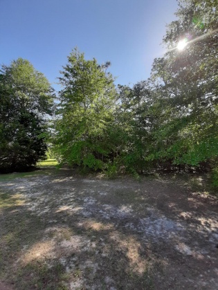 Defuniak Springs, Florida 32433, ,Land,For Sale,Pinewood Drive,845509
