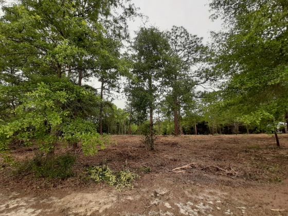 Defuniak Springs, Florida 32433, ,Land,For Sale,Pinewood Drive,845509