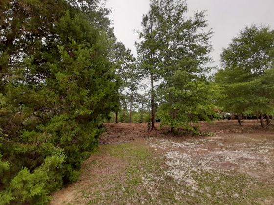 Defuniak Springs, Florida 32433, ,Land,For Sale,Pinewood Drive,845509