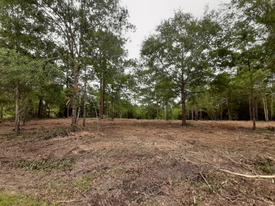 Defuniak Springs, Florida 32433, ,Land,For Sale,Pinewood Drive,845509