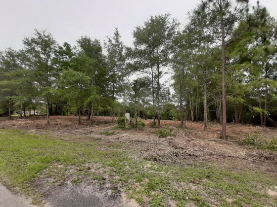 Defuniak Springs, Florida 32433, ,Land,For Sale,Pinewood Drive,845509