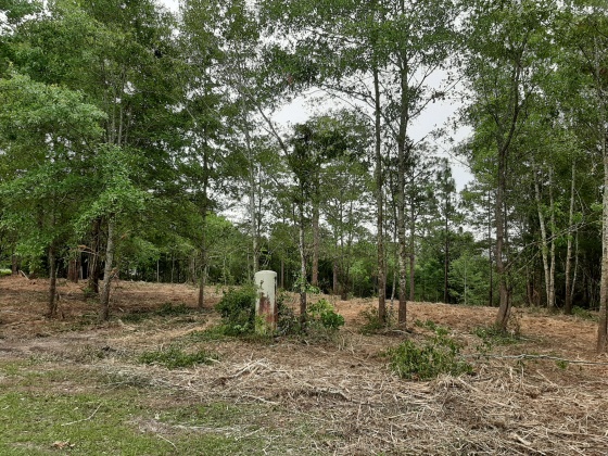Defuniak Springs, Florida 32433, ,Land,For Sale,Pinewood Drive,845509