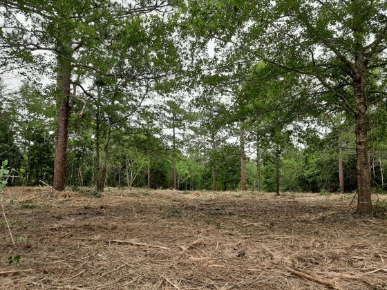 Defuniak Springs, Florida 32433, ,Land,For Sale,Pinewood Drive,845509