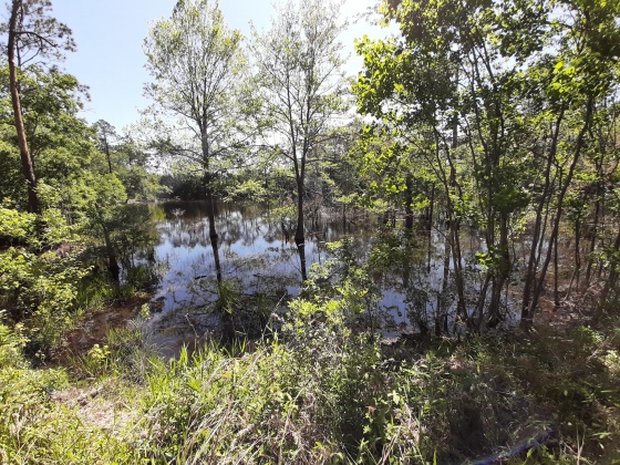 Defuniak Springs, Florida 32433, ,Land,For Sale,Pinewood Drive,845509
