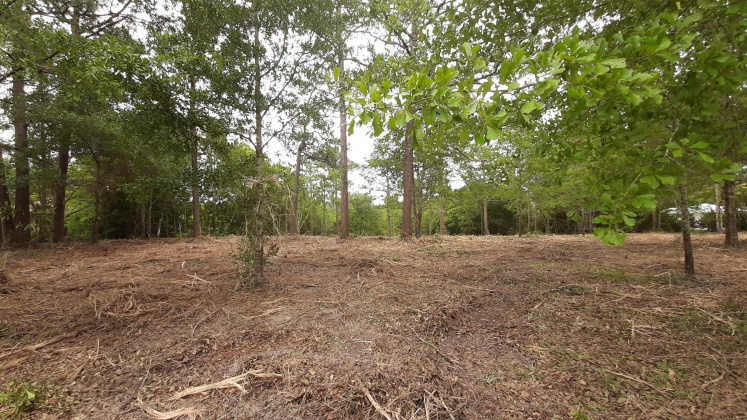 Defuniak Springs, Florida 32433, ,Land,For Sale,Pinewood Drive,845509