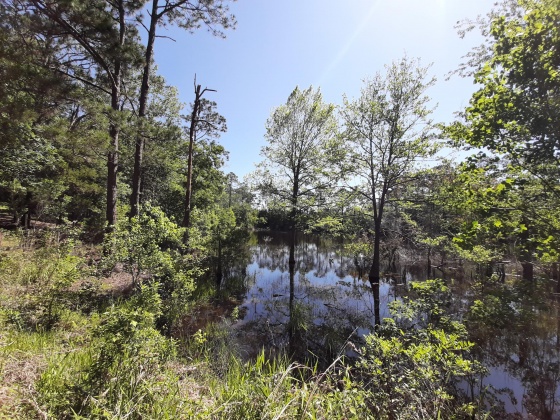 Defuniak Springs, Florida 32433, ,Land,For Sale,Pinewood Drive,845509