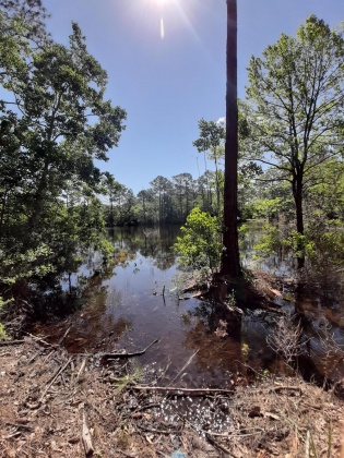 Defuniak Springs, Florida 32433, ,Land,For Sale,Pinewood Drive,845509