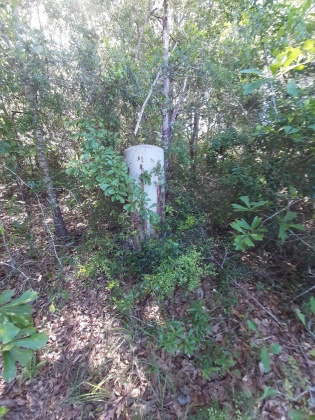 Defuniak Springs, Florida 32433, ,Land,For Sale,Pinewood Drive,845509