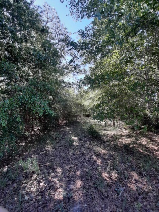 Defuniak Springs, Florida 32433, ,Land,For Sale,Pinewood Drive,845509