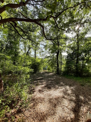 Freeport, Florida 32439, ,Land,For Sale,Waterview Cove Drive,845668