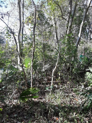 Freeport, Florida 32439, ,Land,For Sale,Waterview Cove Drive,845668